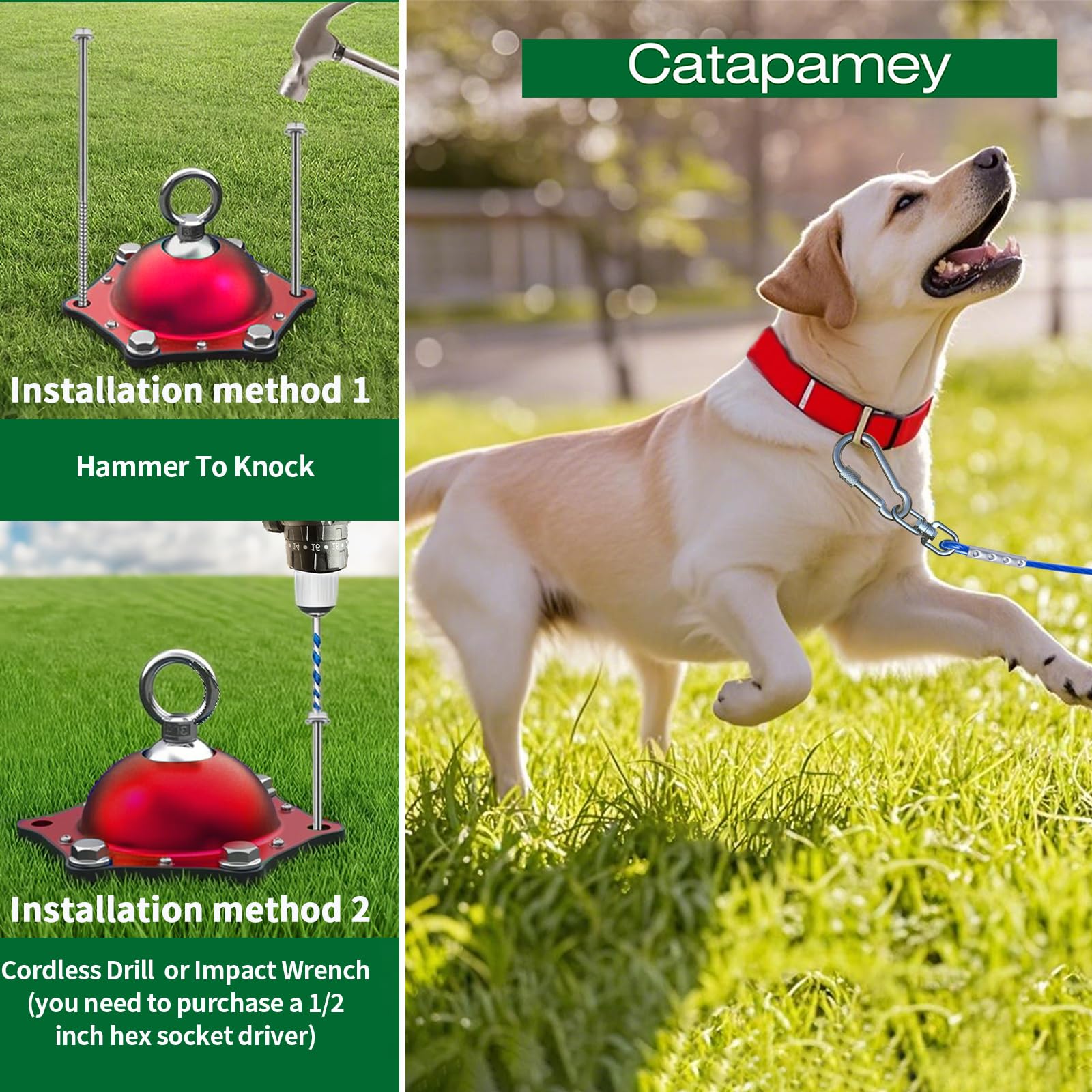 Catapamey screw-lock carabiner prevents escape for confident pets.