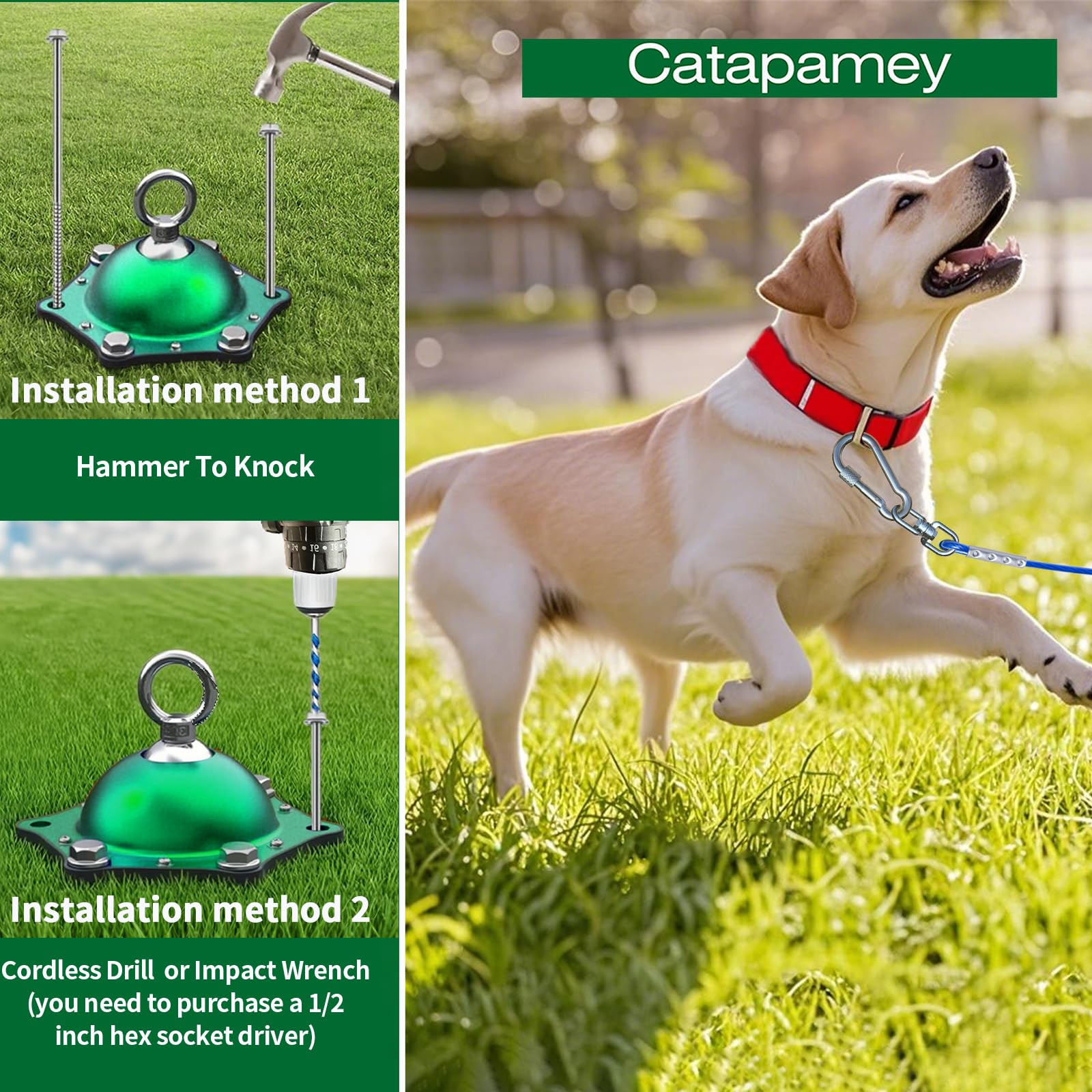 Catapamey screw-lock clips enhance leash security during outdoor use.