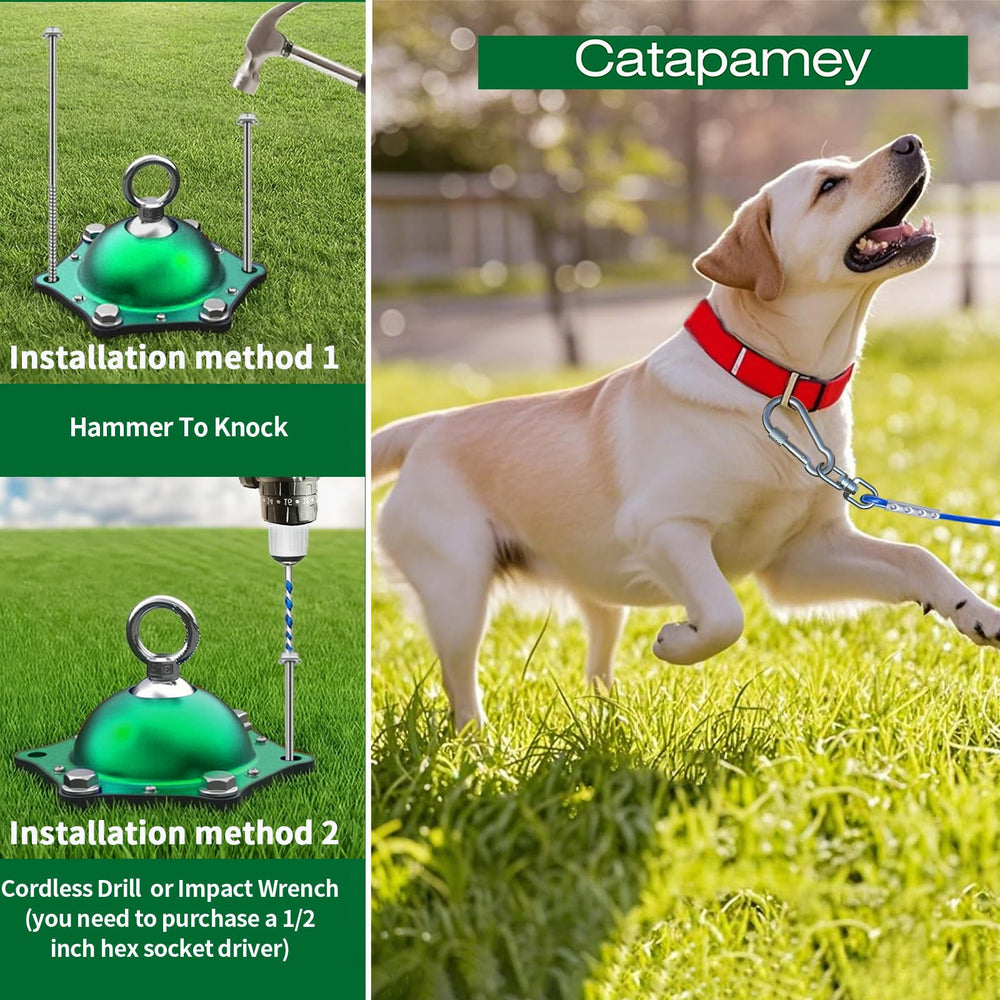 Catapamey screw-lock clips enhance leash security during outdoor use.