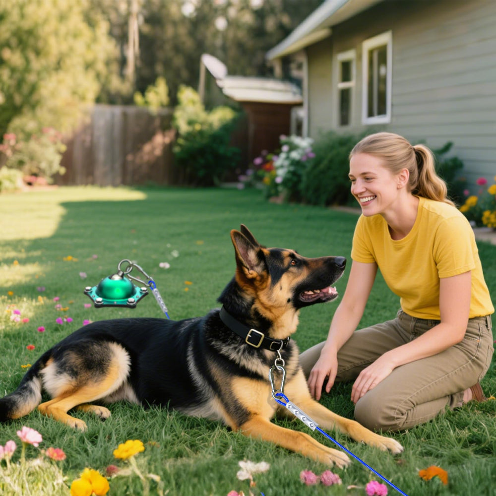 Catapamey yard dog-run setup supports safe outdoor experiences.