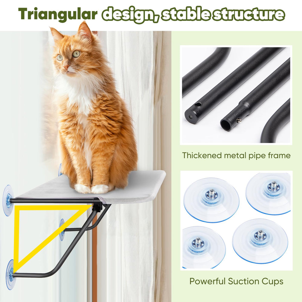 CatAve cordless perch installation demonstrated on clean glass without tools.