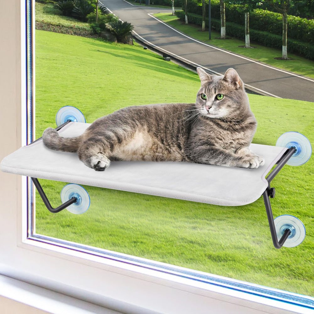 CatAve cordless window perch with metal frame and four suction cups for secure sunlit lounging.