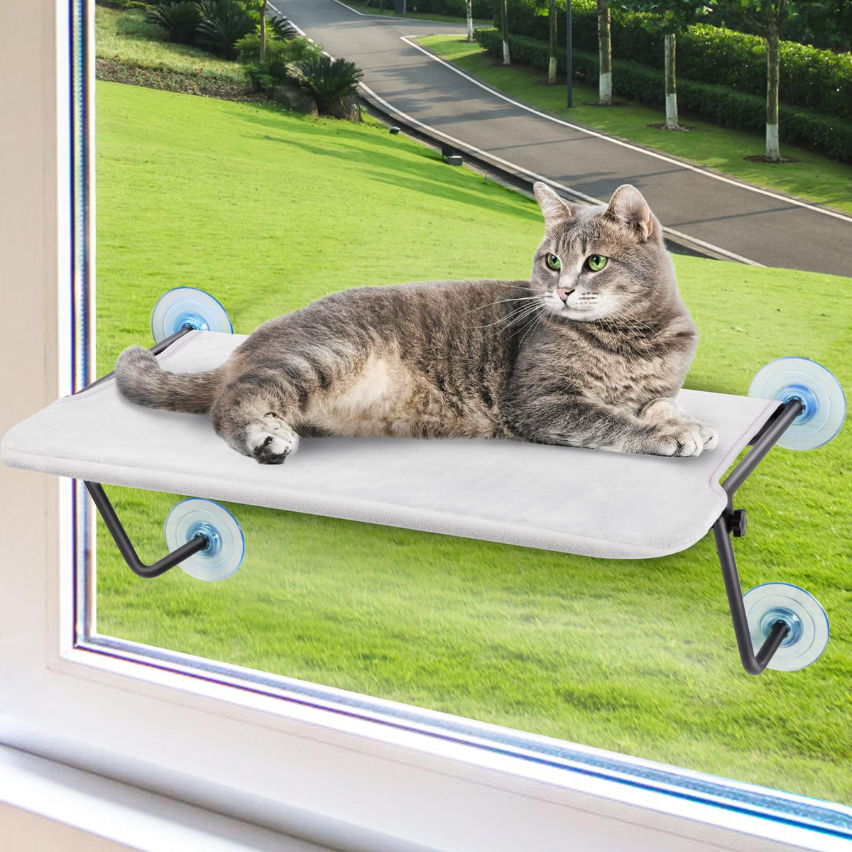 CatAve cordless window perch with metal frame and four suction cups for secure sunlit lounging.