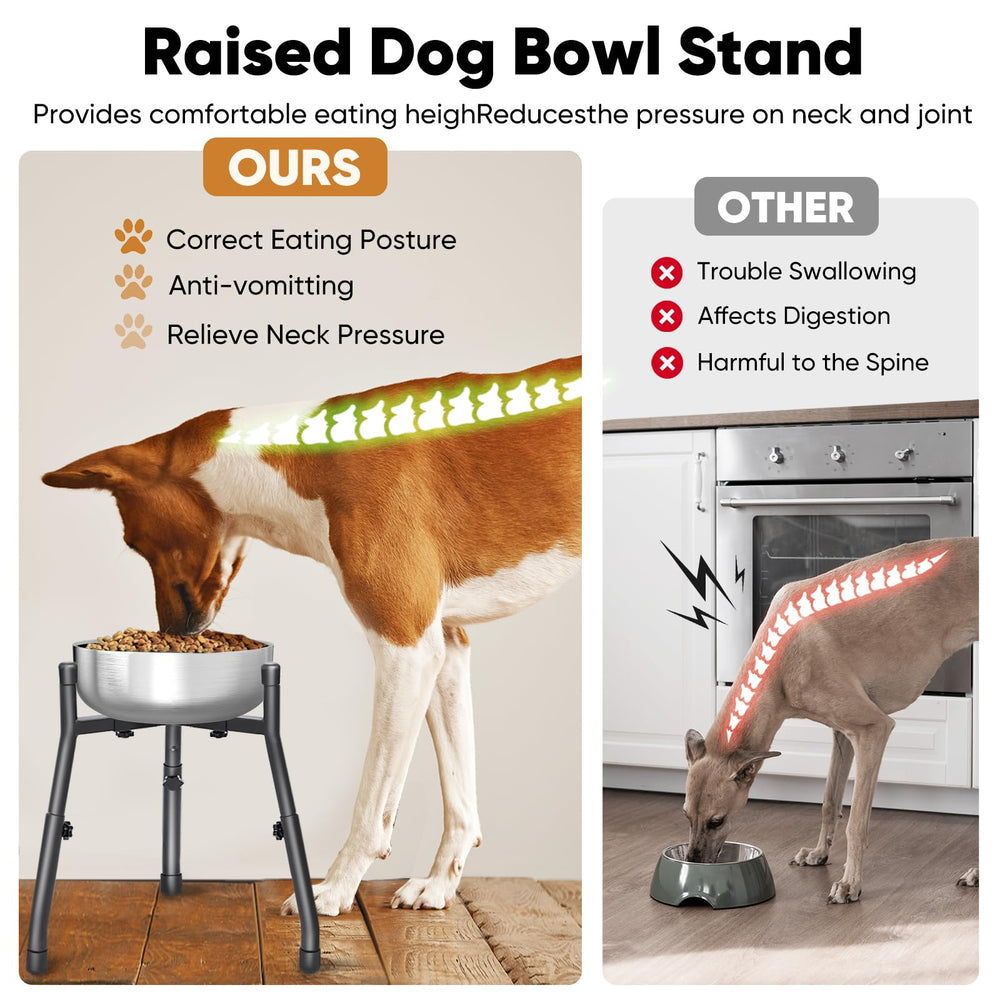 CatAve elevated dog bowls 2-pack height-adjustable for growing dogs.