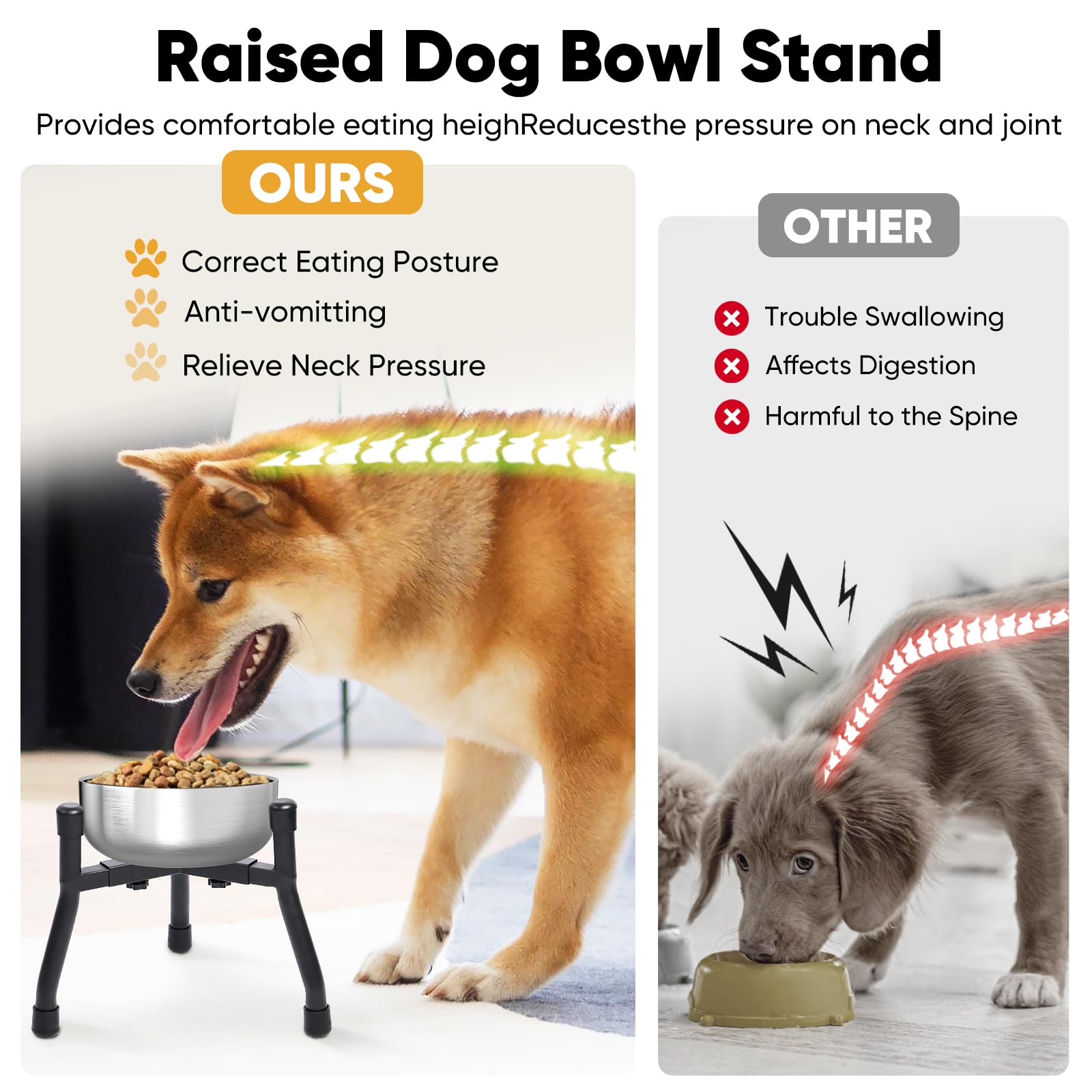 CatAve elevated dog bowls anti-slip feet stabilize meals on any surface