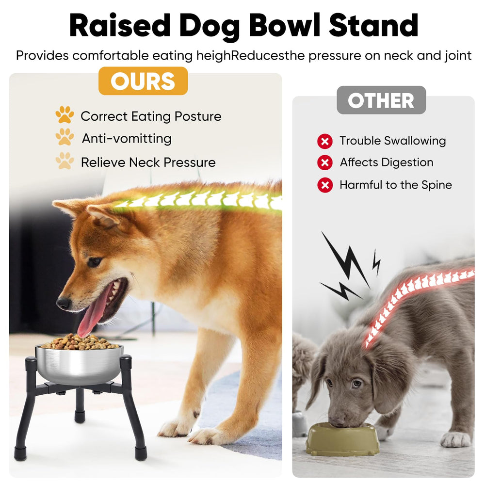 CatAve elevated dog bowls anti-slip feet stabilize meals on any surface