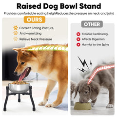 CatAve elevated dog bowls anti-slip feet stabilize meals on any surface