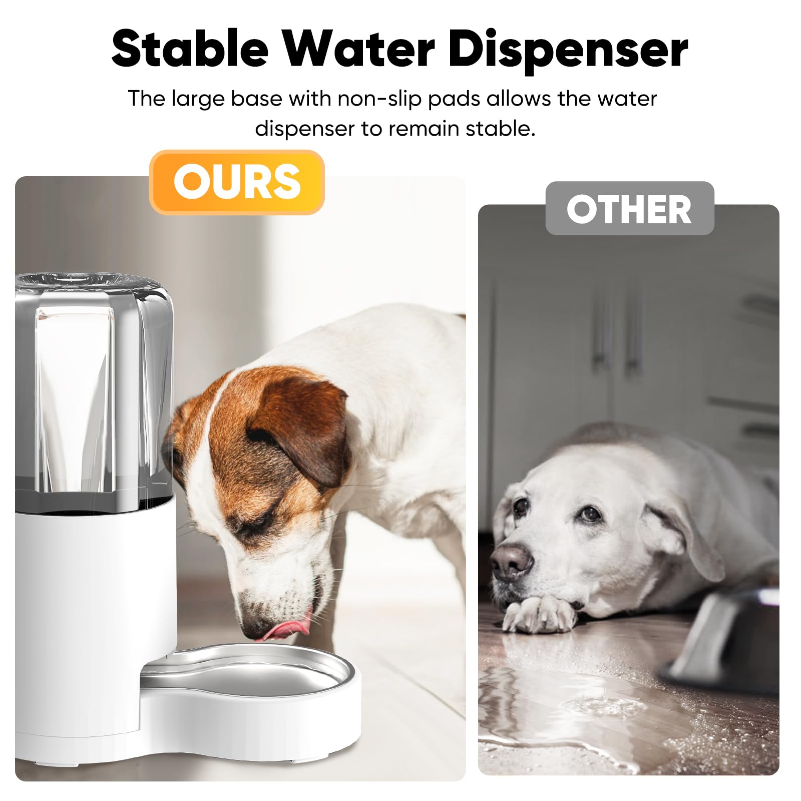 CatAve gravity-fed dog water dispenser illustrating steady refill capability