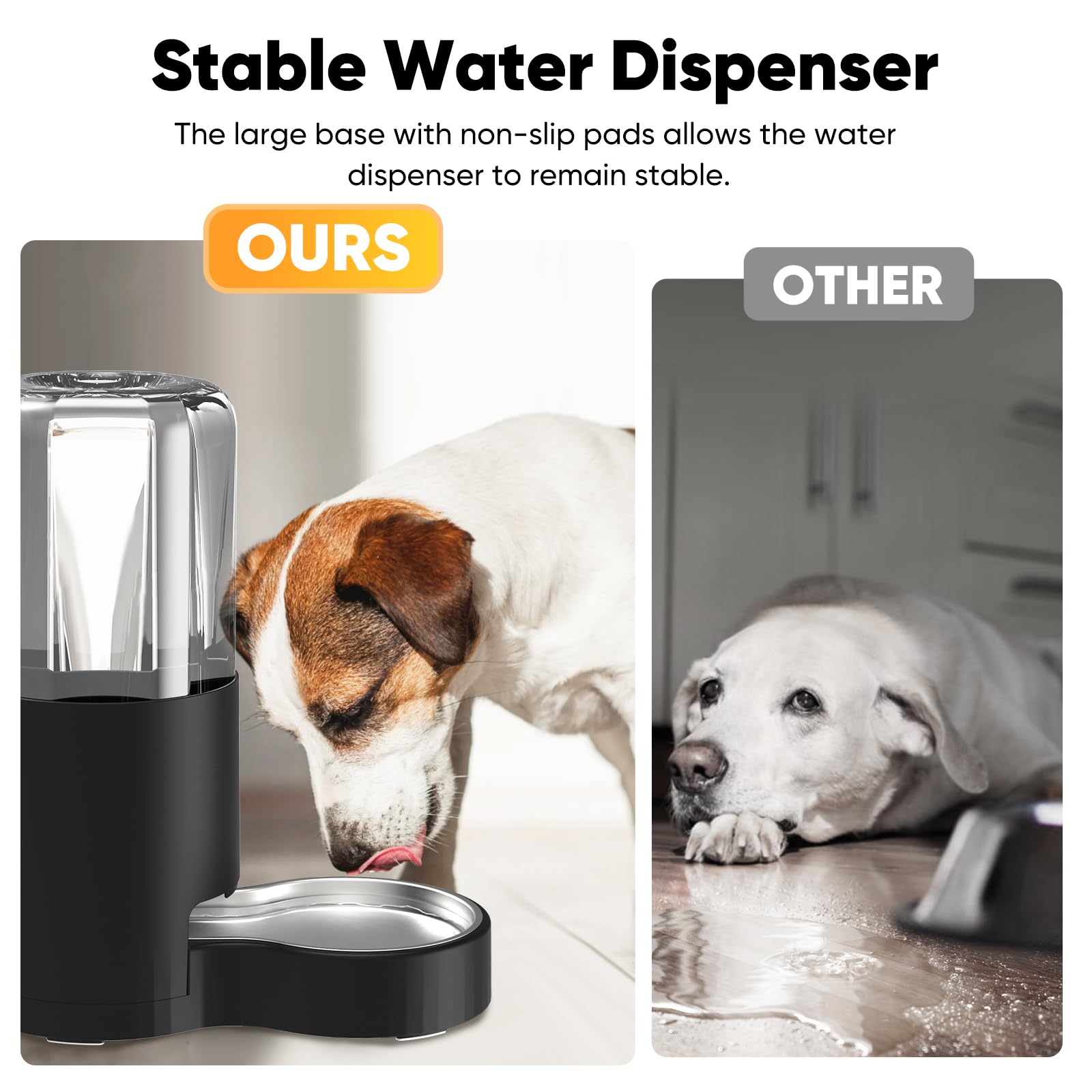 CatAve gravity-fed dog waterer with clear reservoir for monitoring.