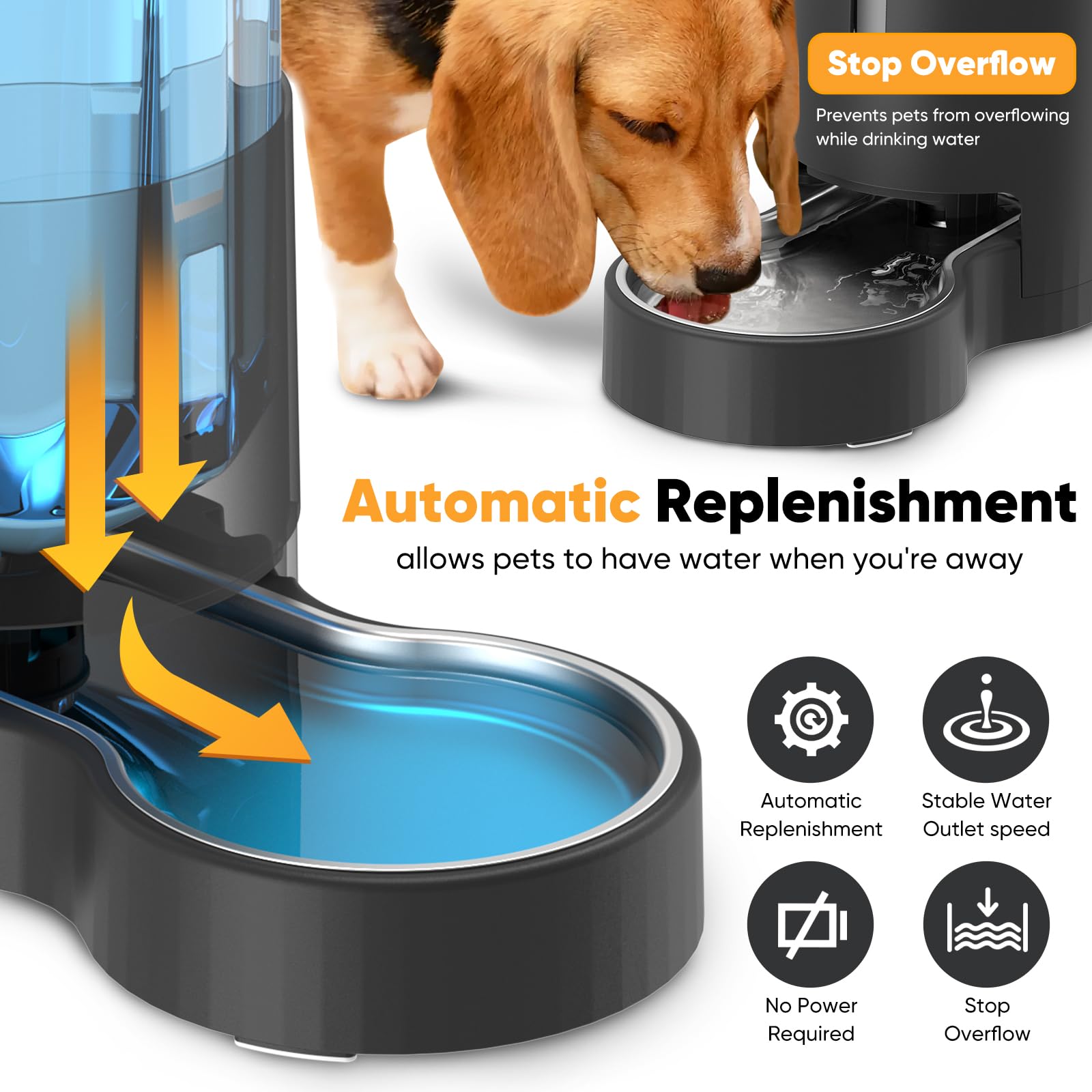 CatAve no-spill base design helps prevent water messes.