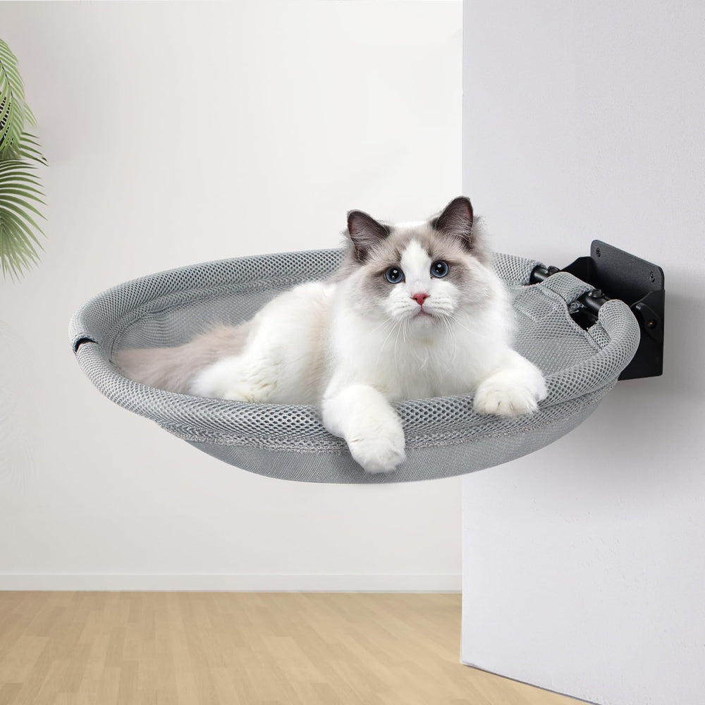 CatAve wall-mounted cat hammock in action offers a space-saving, quiet resting spot.