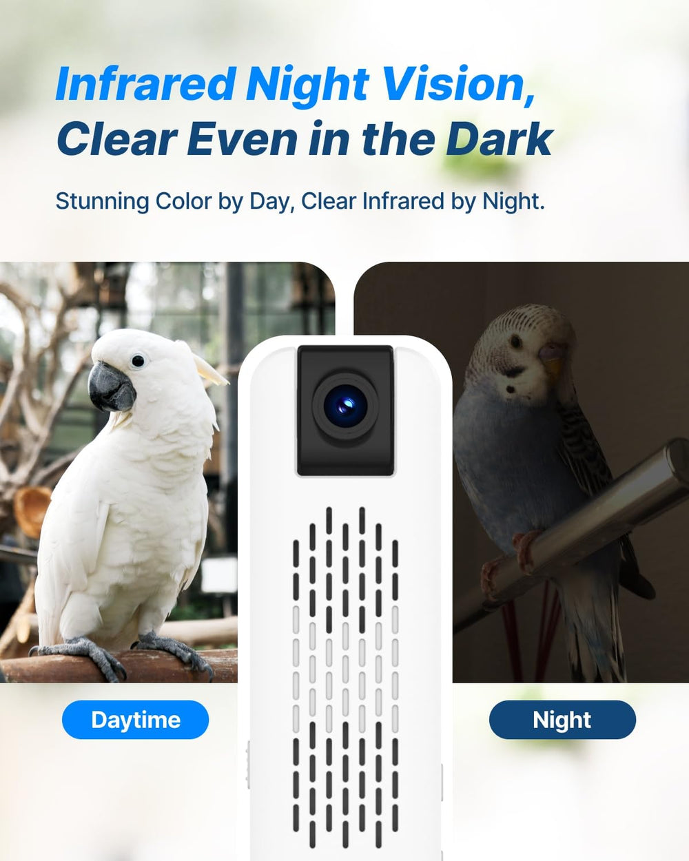 CATBOAT 180-degree Lens provides full-coverage view of the cage for safer observation.