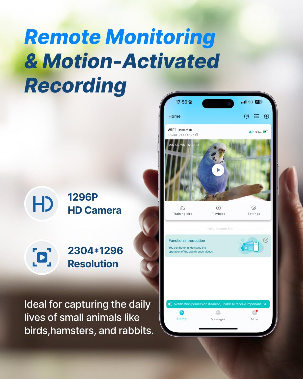 CATBOAT Bird Training Camera Two-Way Talk enables real-time coaching and social interaction.