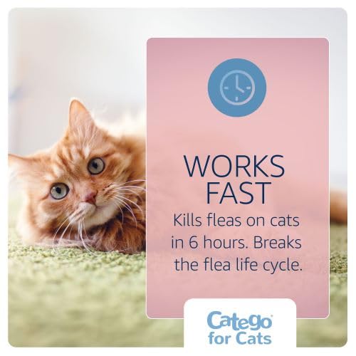 Catego for Cats breaks the flea lifecycle to prevent reinfestation