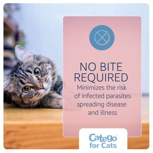Catego for Cats suitable for indoor and outdoor cats