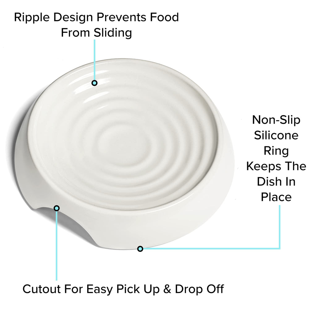 CatGuru white ceramic bowl offers a clean, durable feeding option.