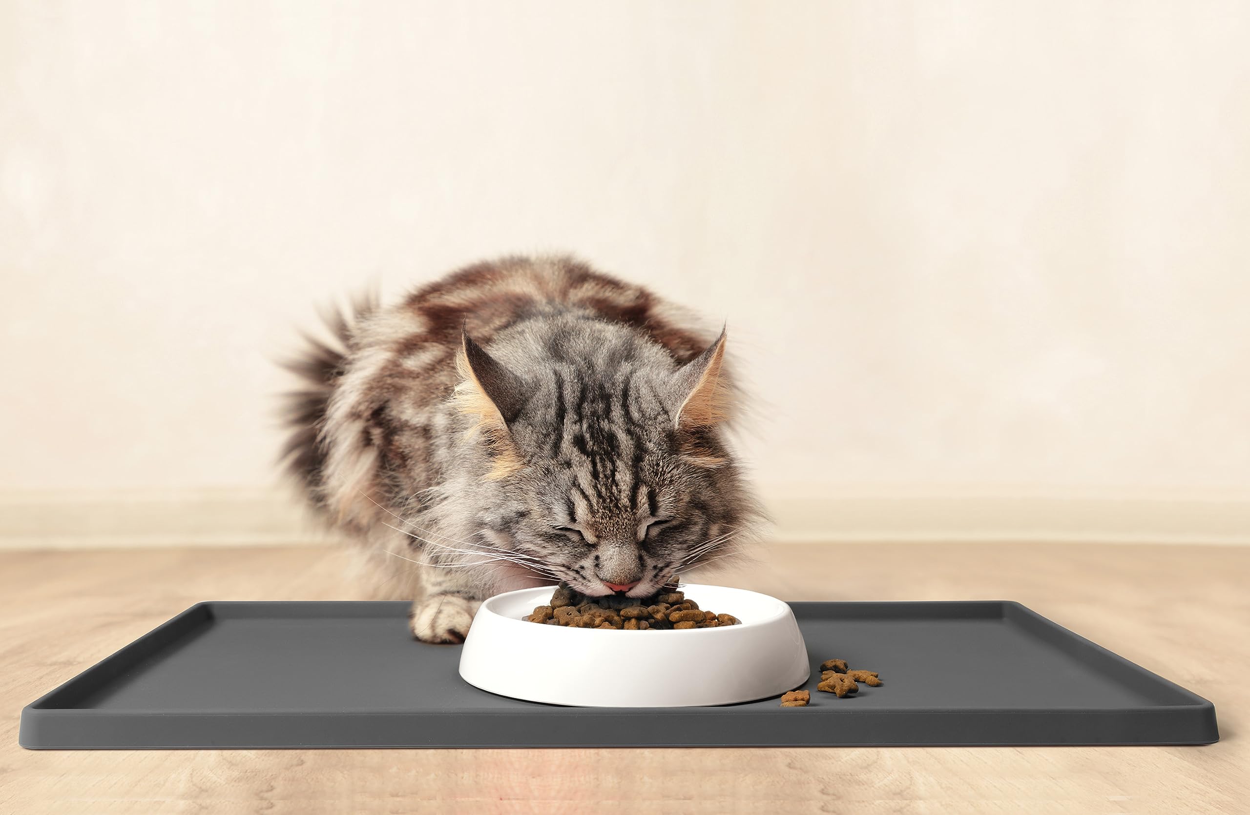 CatGuru patented shallow design promotes whisker-friendly dining.