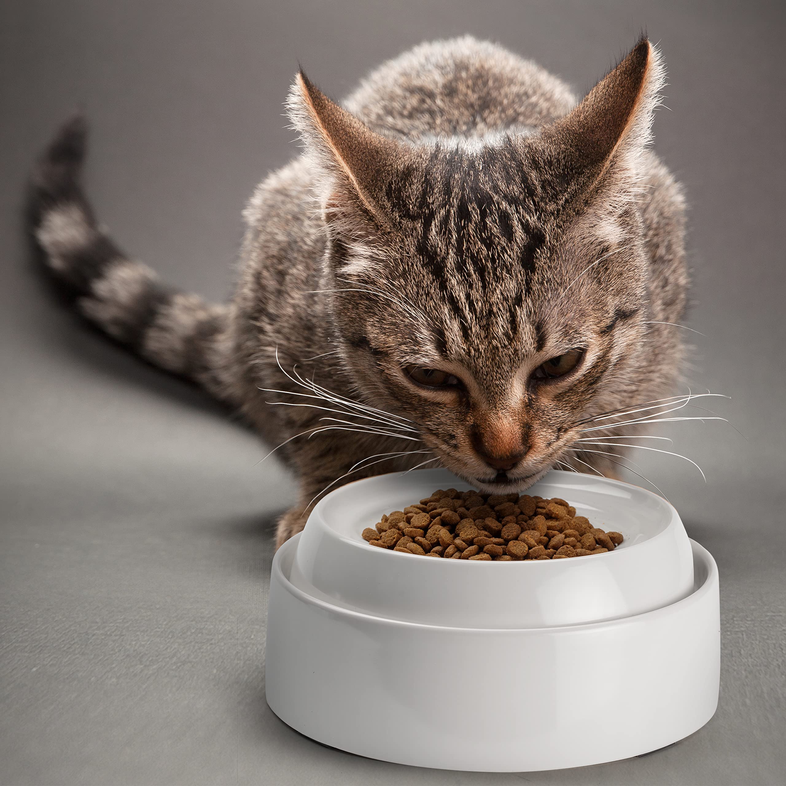 CatGuru saucer-like design close-up emphasizing whisker relief feature