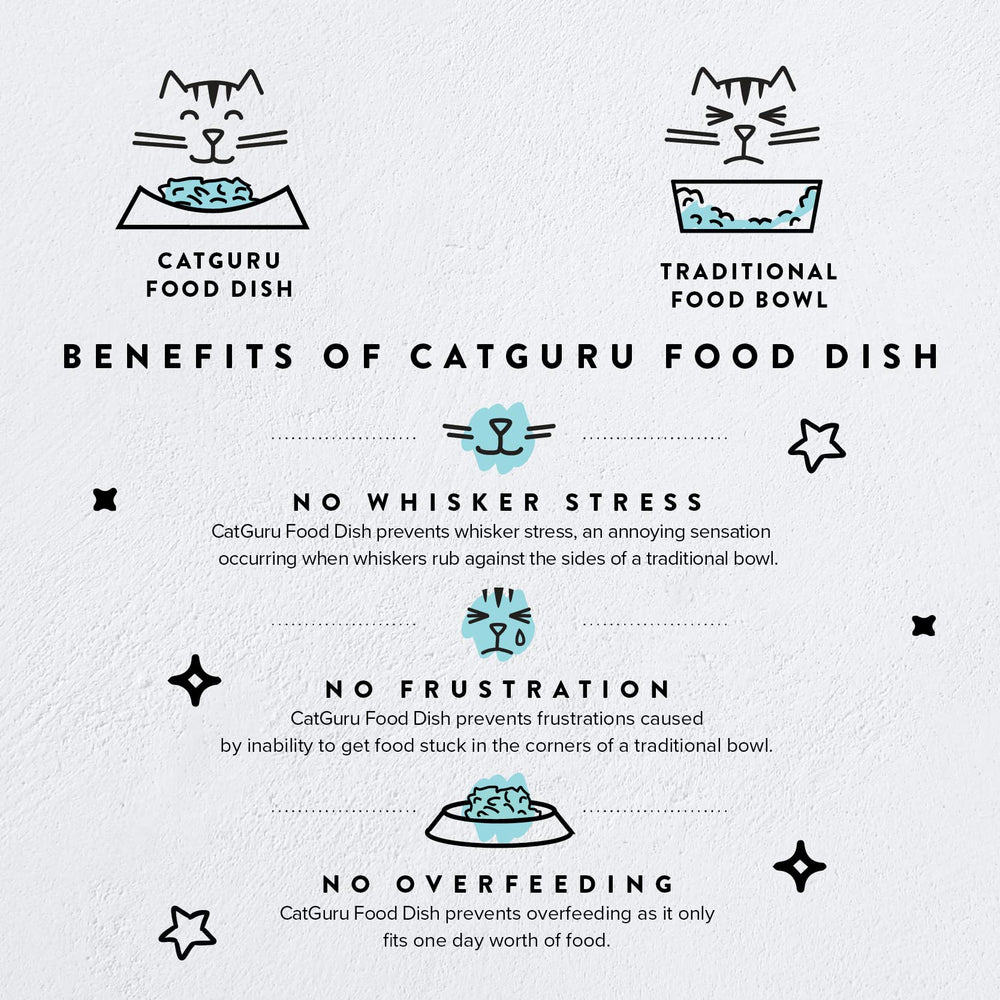 CatGuru wide kitten dish top-down view highlights wide surface for whisker relief