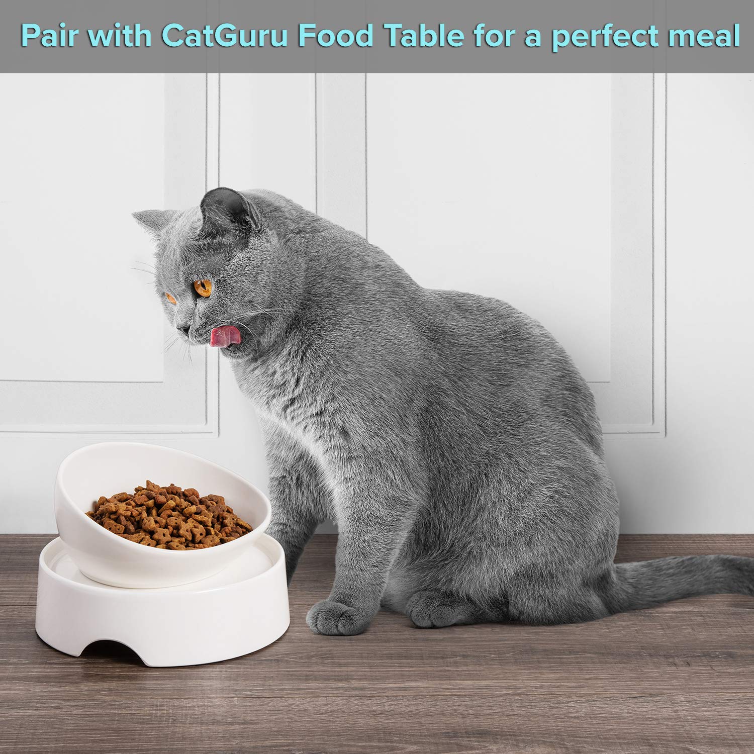 CatGuru ceramic bowl is dishwasher and microwave safe for quick cleanup