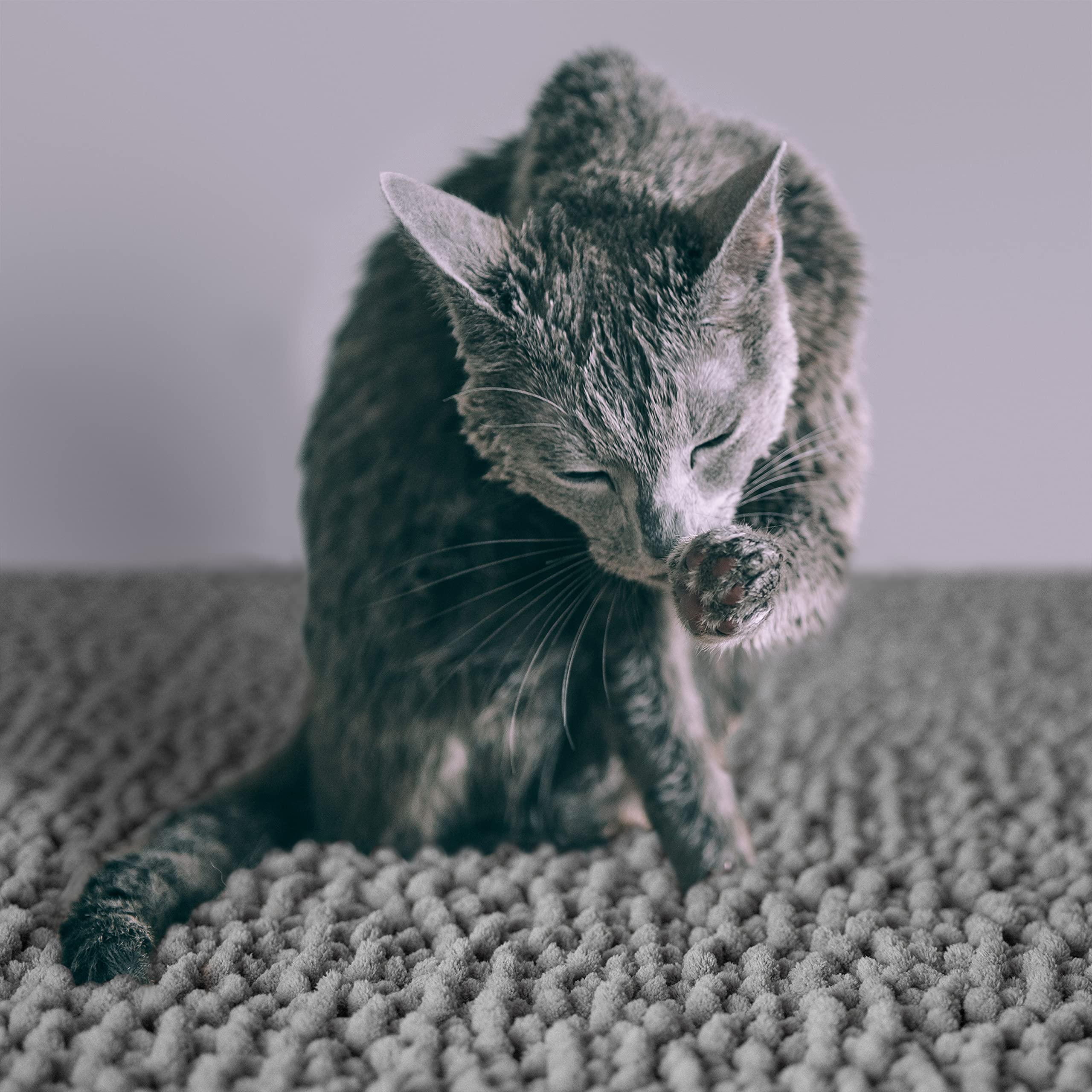 CatGuru Cat Litter Mat is machine washable for quick cleaning.