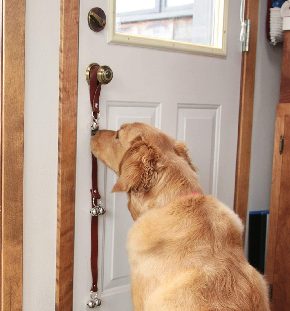 CATHYLIFE decorative doorbell hanging on door blends function with decor.
