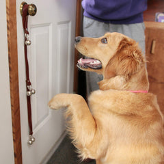 CATHYLIFE leather dog doorbell with puppy using it during go-out ritual