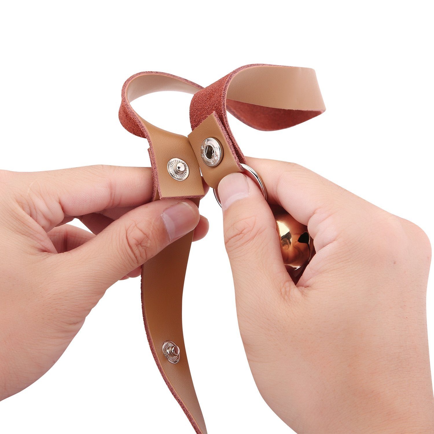 CATHYLIFE puppy potty-training doorbell use demonstrates three-step training approach.