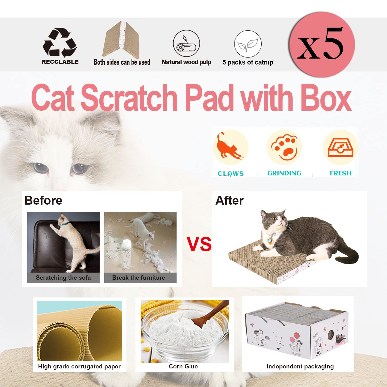 Catinarla cat relaxing on scratch box demonstrates resting and scratching combo.