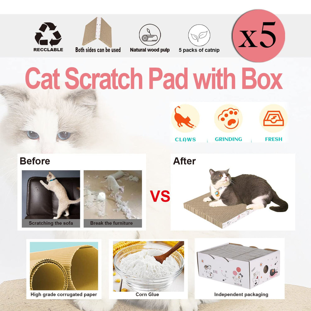 Catinarla cat relaxing on scratch box demonstrates resting and scratching combo.