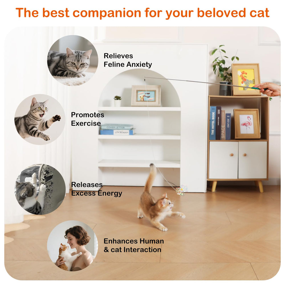 Catisfy cat wand toy compact design enables quick setup and gifting