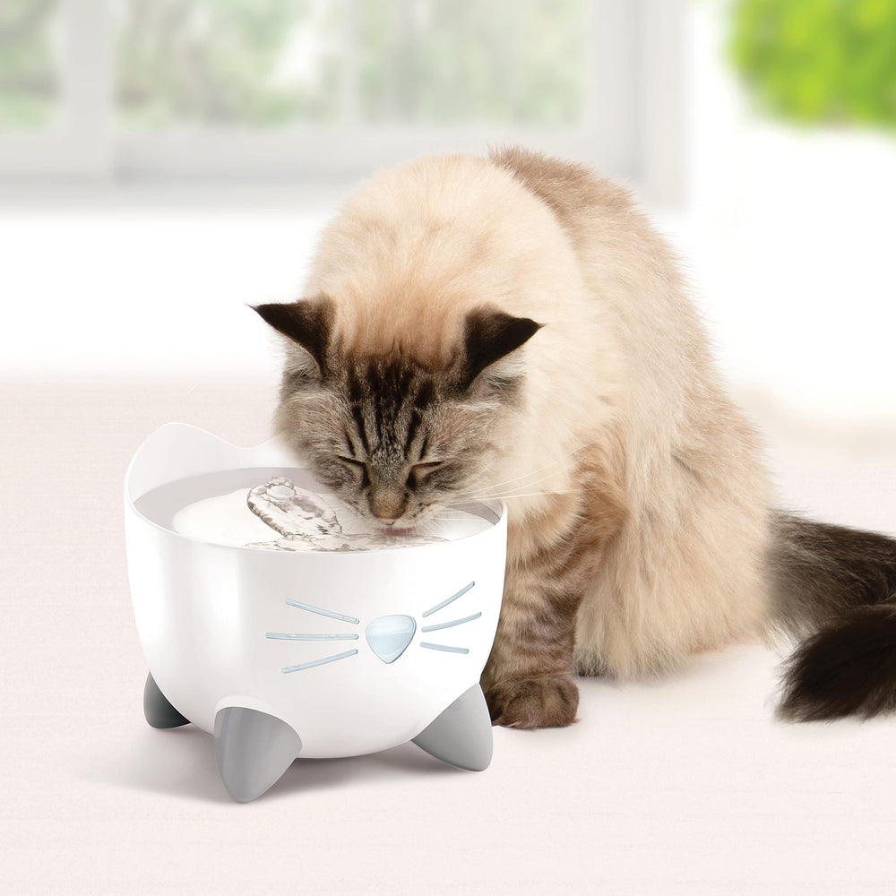Catit PIXI stainless-steel drinking surface is wide and whisker-friendly.