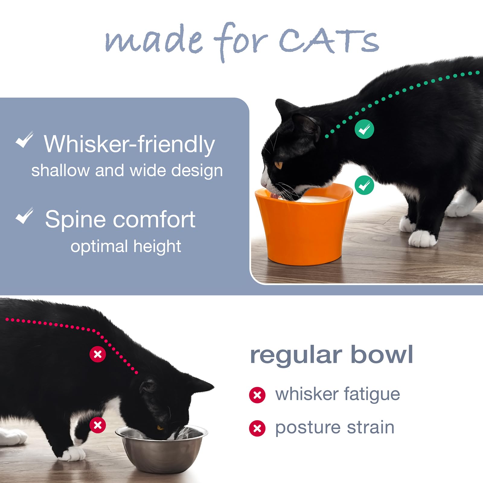 CATNK dishwasher-safe label on bowl indicates simple cleaning after meals.