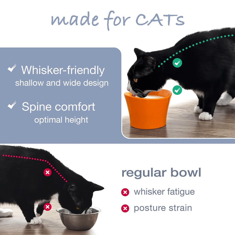 CATNK dishwasher-safe label on bowl indicates simple cleaning after meals.