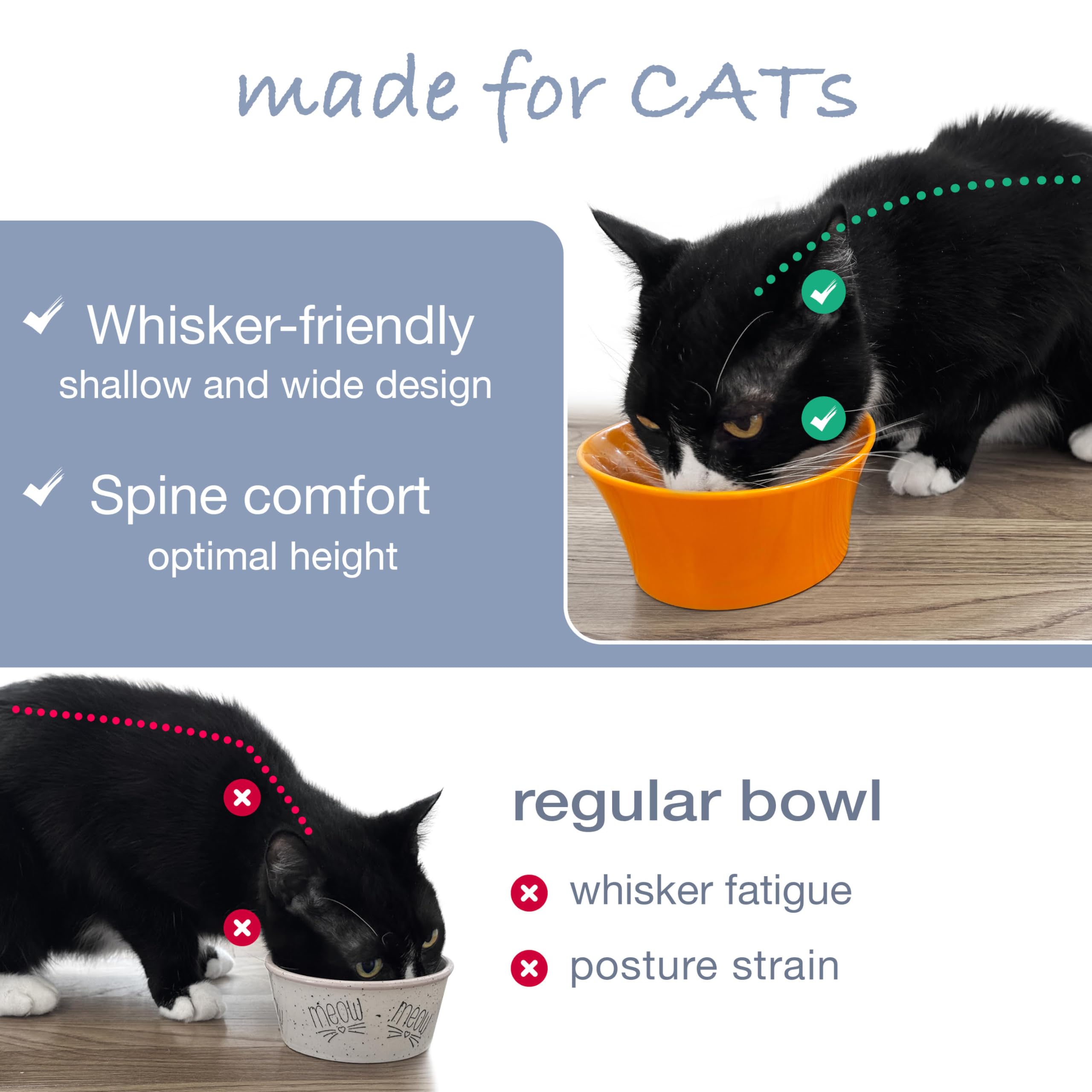 CATNK raised bowl highlights vet-recommended height for posture support