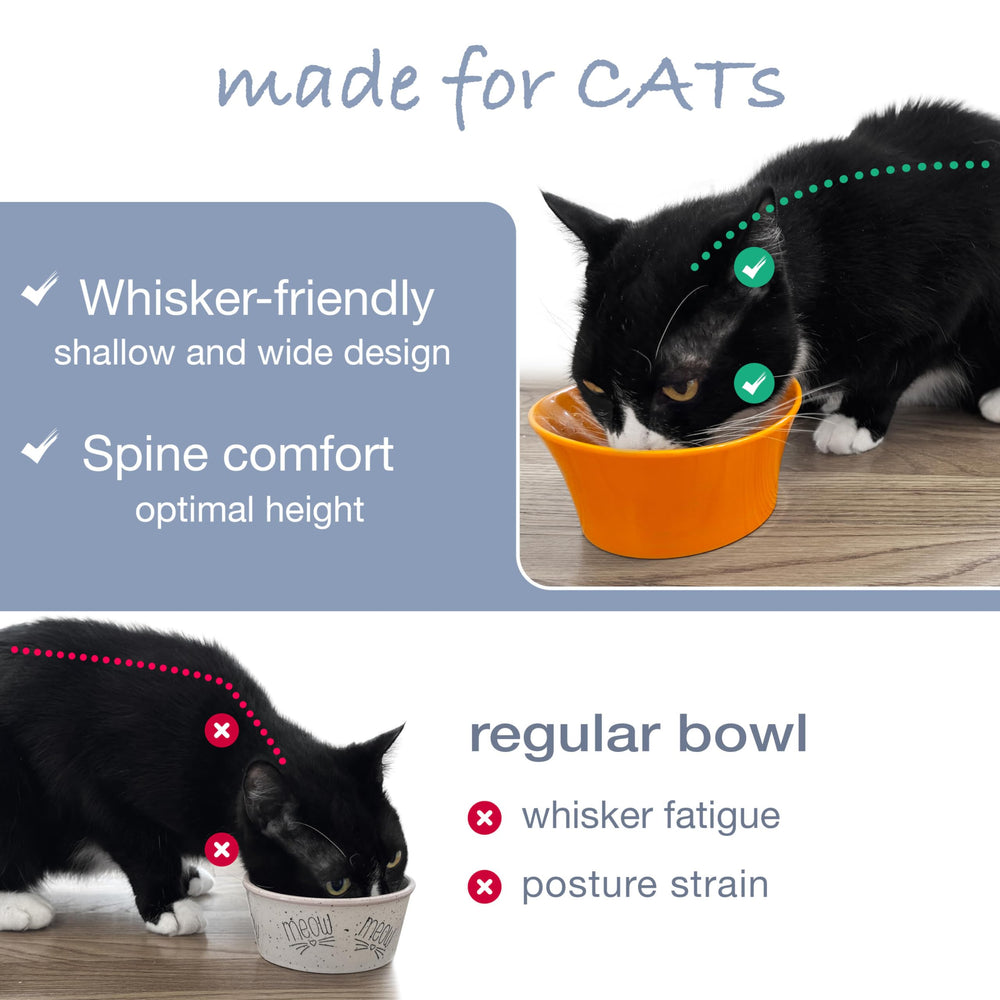 CATNK raised bowl highlights vet-recommended height for posture support