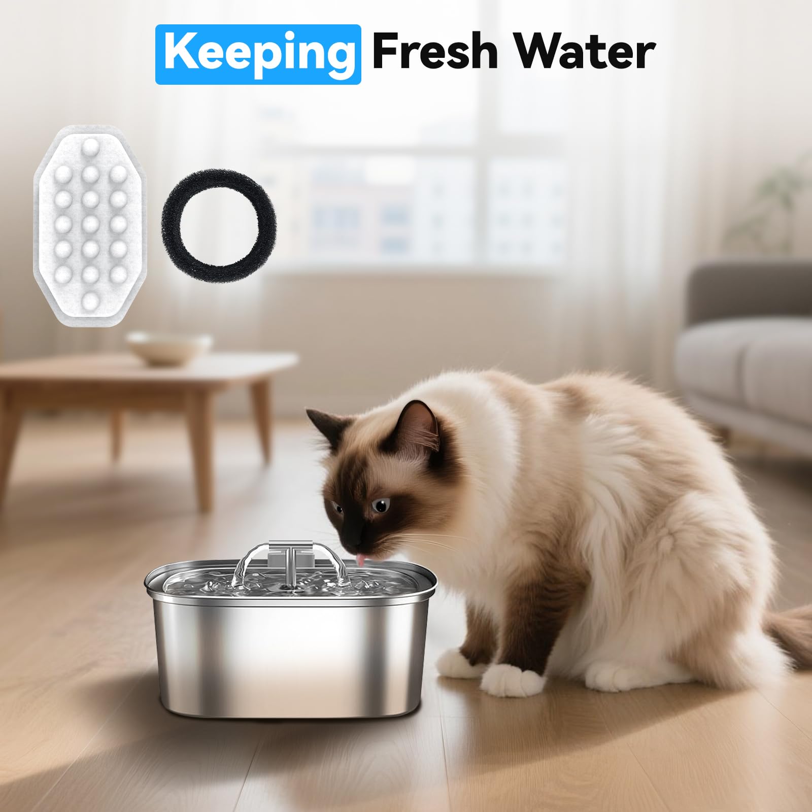 CATOL filtered water appearance in a fountain looks fresh and inviting.
