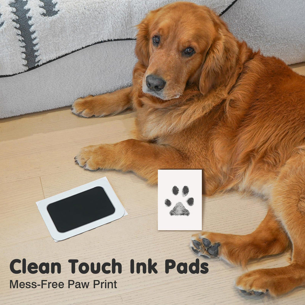 catose Inkless Paw Print Kit cat paw print shows crisp, easy prints