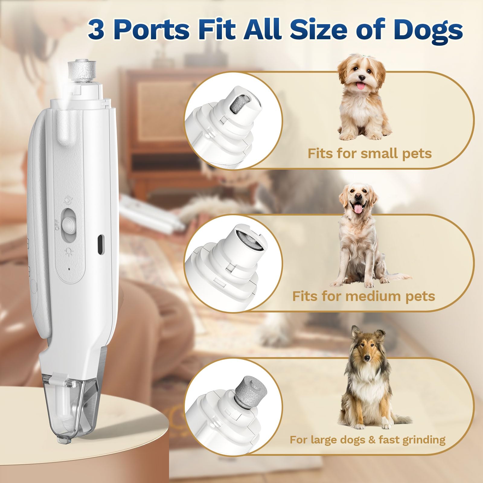 Catpick care Type-C USB rechargeable port enables quick, convenient charging.