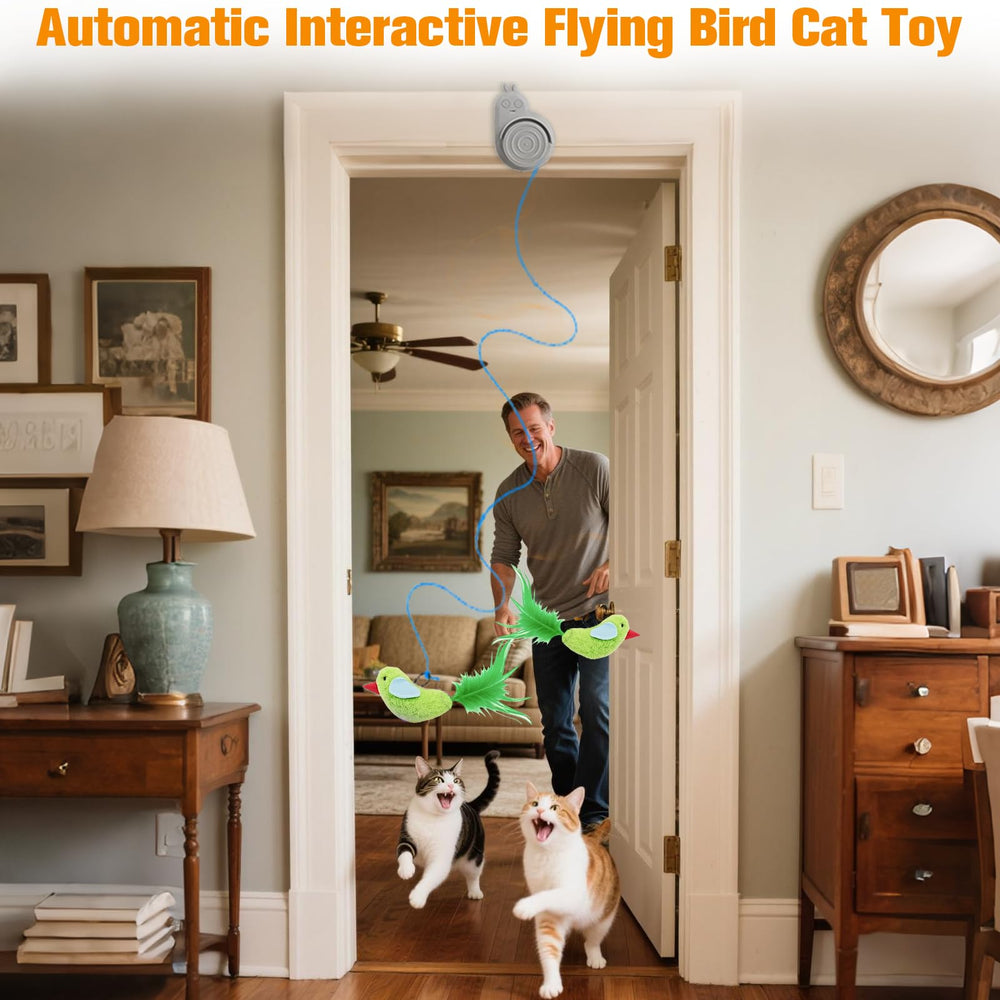 CATPICK doorway cat toy setup promotes engaged play and exercise