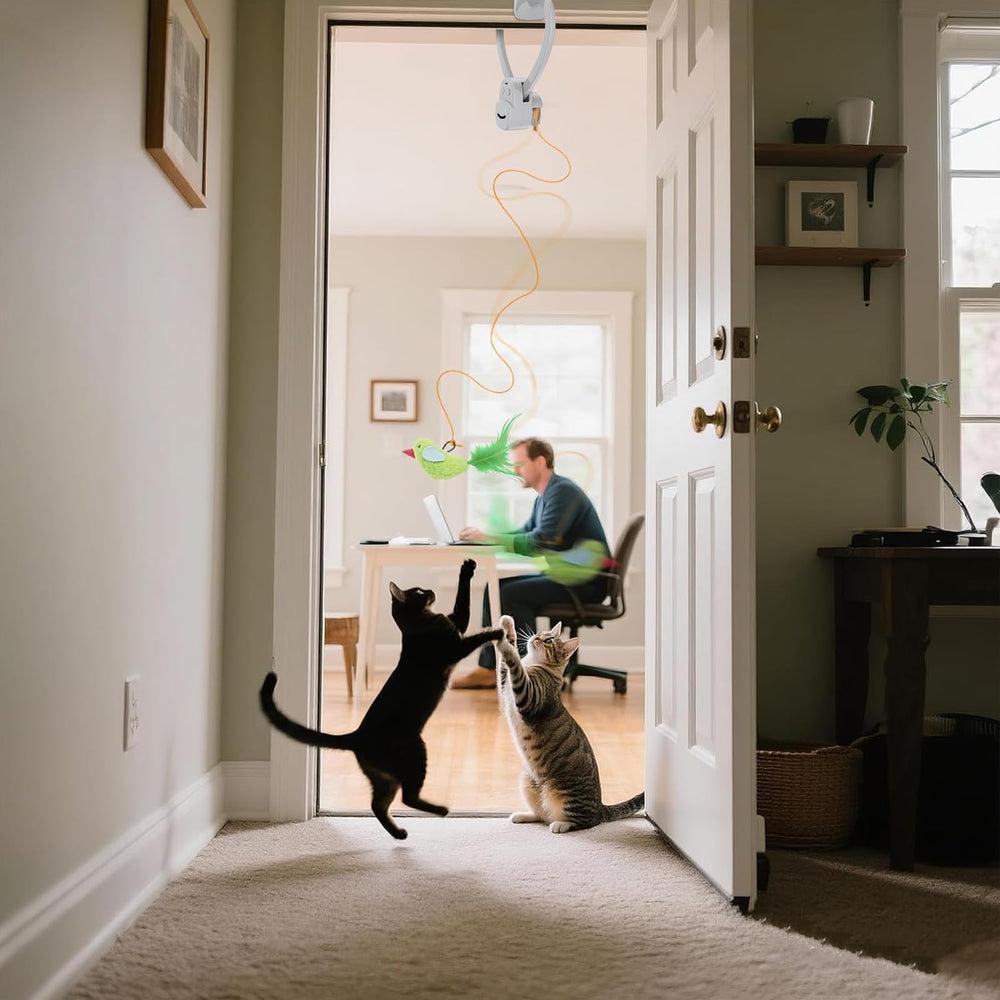 CATPICK doorway mouse toy offers varied prey-style play for kittens.