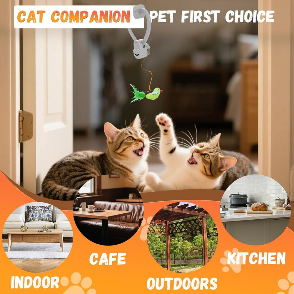 CATPICK doorframe doorway setup showcases enrichment for indoor cats.
