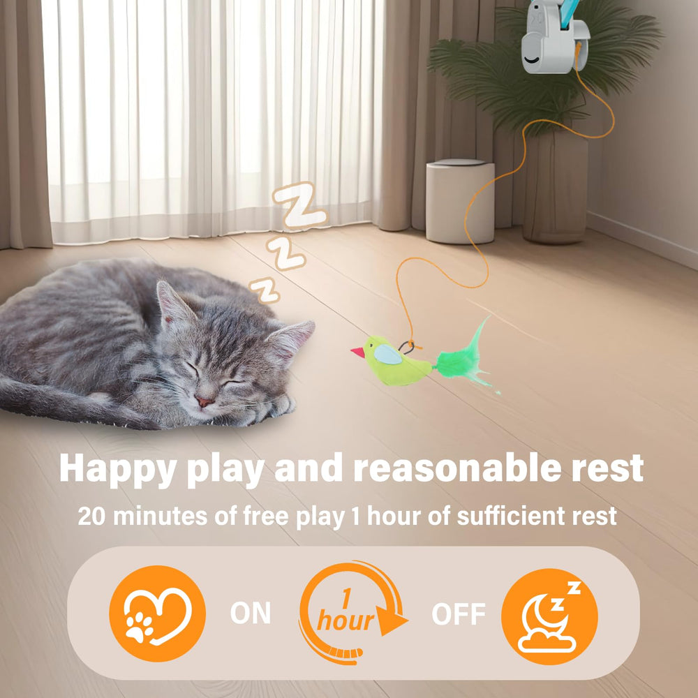 CATPICK Elastic strings with bird toy encourage chasing and exercise sessions.
