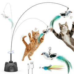 CATPICK interactive toy with flying bird on wall for indoor play enrichment