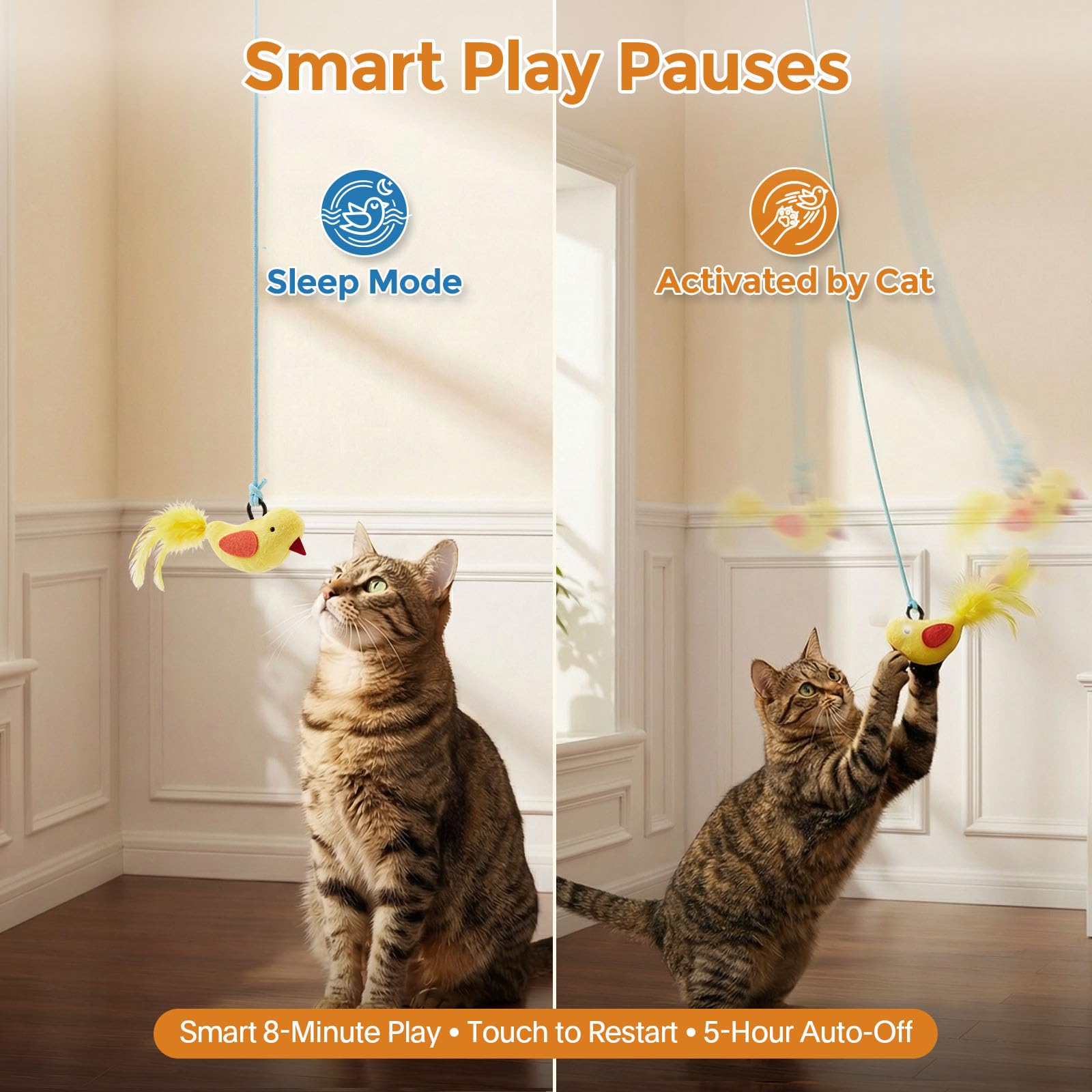 Catpick door-hang setup saves space in small apartments