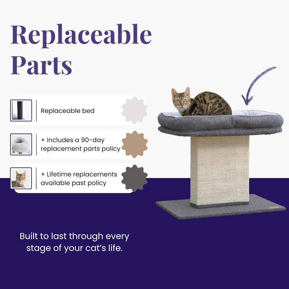 Catry Mellow tool-free-assembly highlights quick setup without tools.