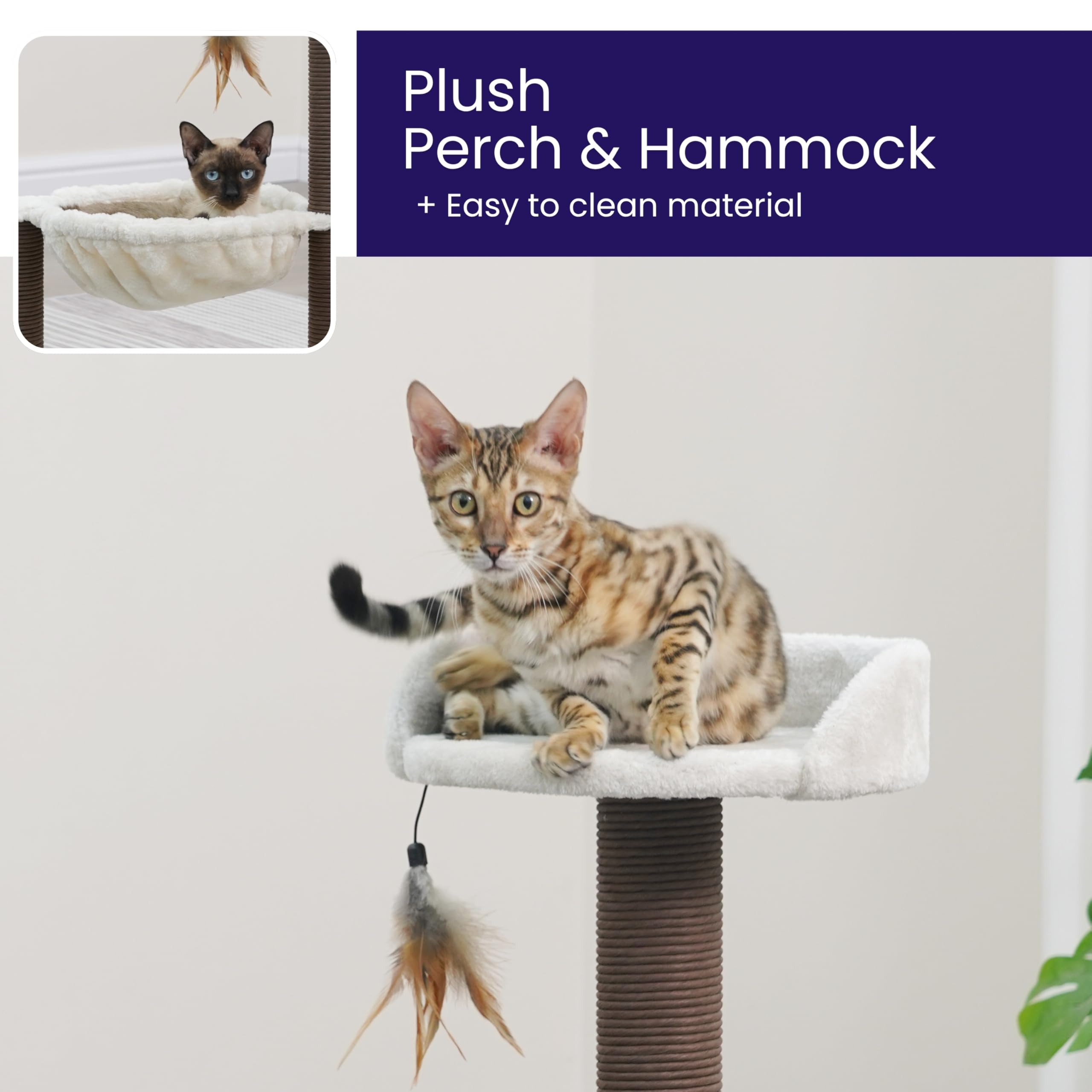 Catry Nirvana feather toy adding interactive play to the setup.