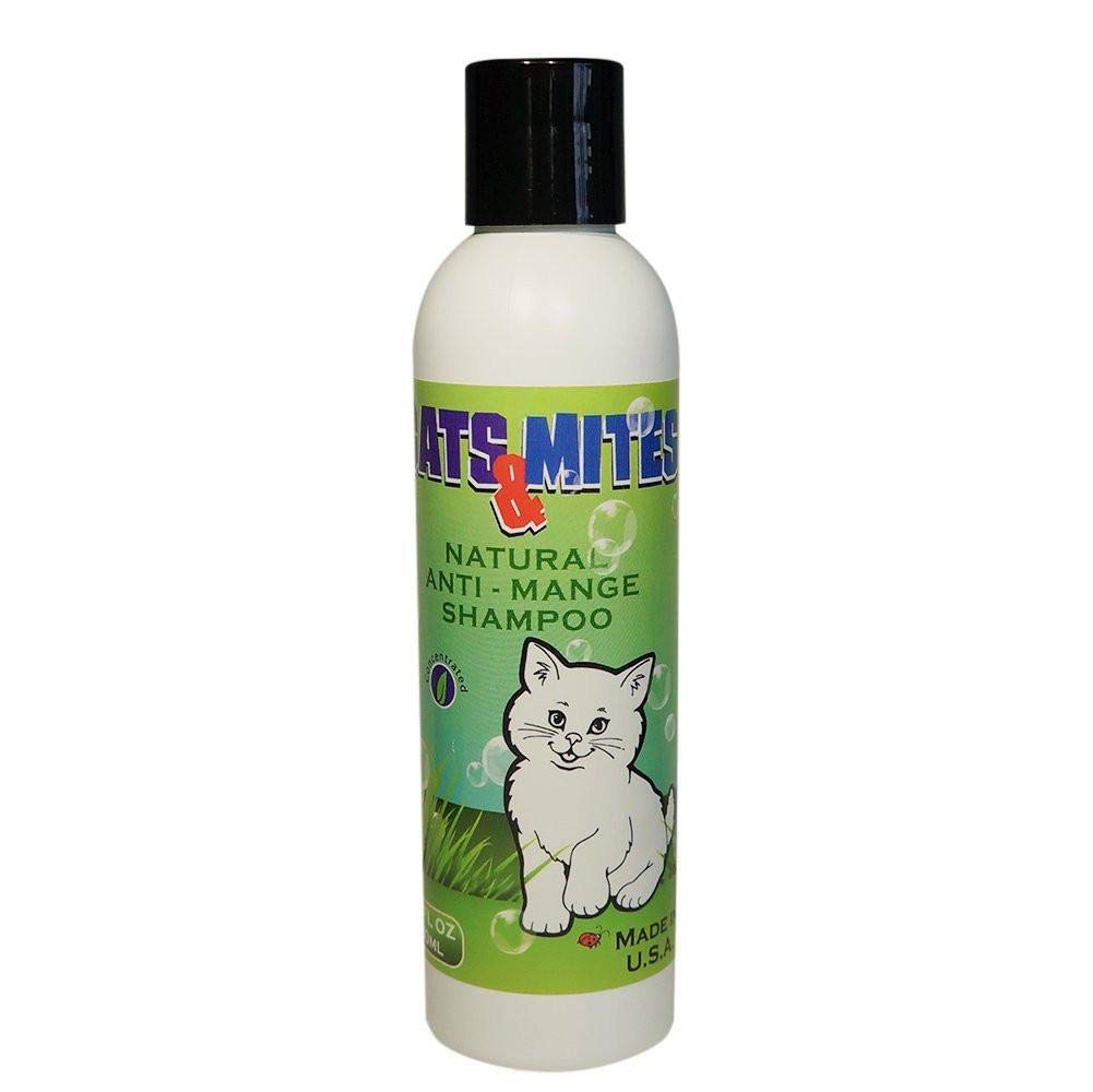 Cats n Mite Anti Mange Shampoo lathering on cat for soothing skin and a fresh coat.