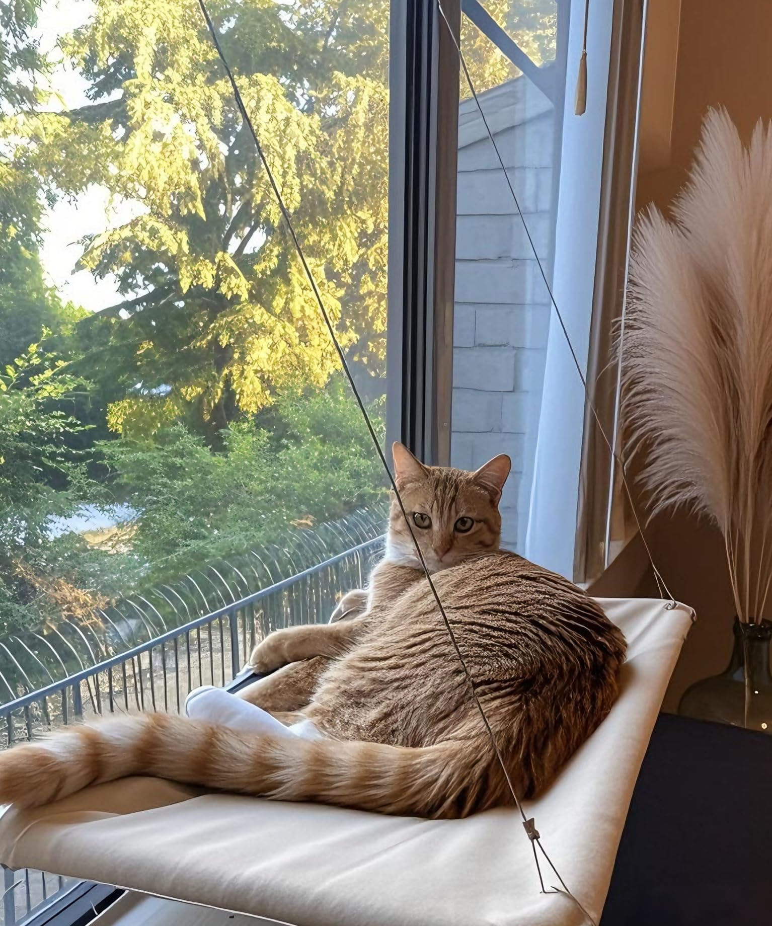Cats Window Perch Gray Color fits modern interiors and complements other furnishings.