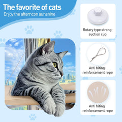 Cats Window Perch Sunshine Throne captures sunlit lounging for a cozy cat bask.